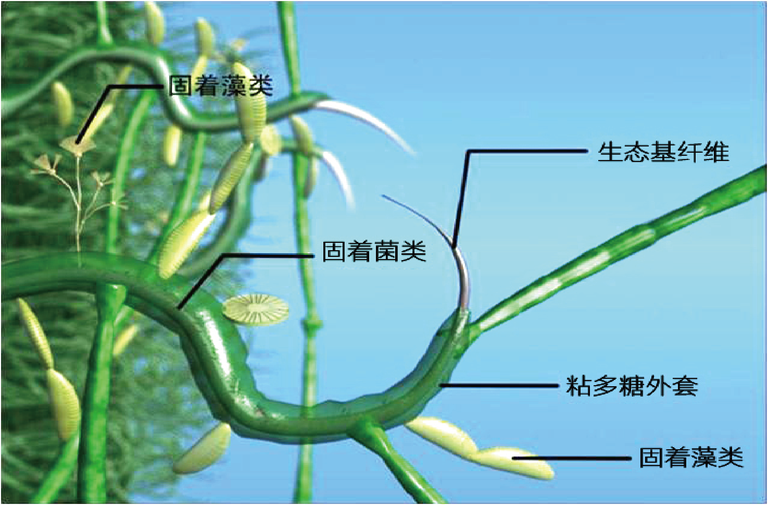 生态修复技术体系