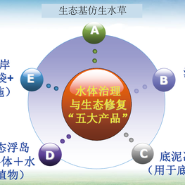 生态修复黑臭水体治理