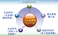 生态修复黑臭水体治理