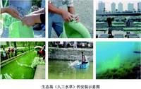 生态基安装