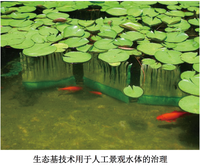 生态修复黑臭水体治理