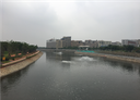 生态修复技术体系
